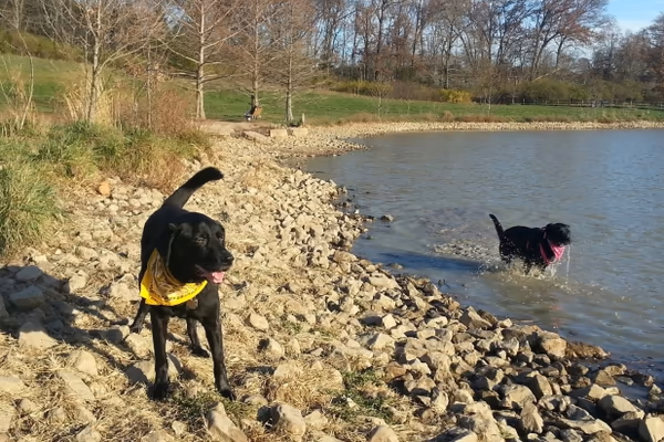 Twin Lakes Recreation Area Dog Park photo 1